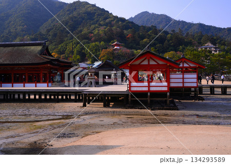 安芸の宮島・厳島神社 134293589