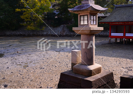 安芸の宮島・厳島神社 134293593