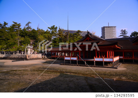 安芸の宮島・厳島神社 安芸の宮島・厳島神社 134293595