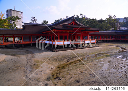 安芸の宮島・厳島神社 134293596