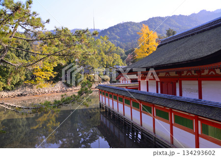 安芸の宮島・厳島神社 134293602