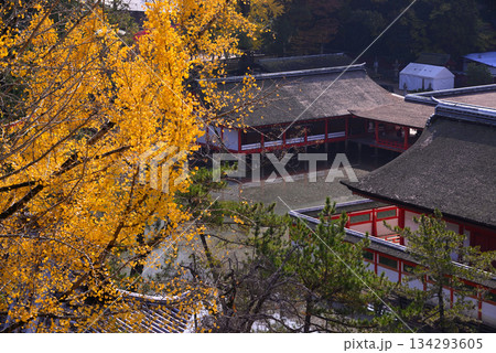 安芸の宮島・厳島神社 安芸の宮島・厳島神社 134293605