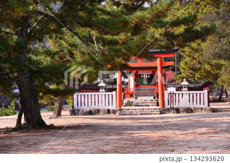 安芸の宮島・厳島神社 134293620