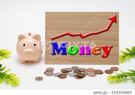 お金が増えるイメージと豚の貯金箱 134293664