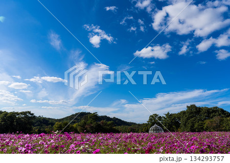 花夢の里 (03) 134293757