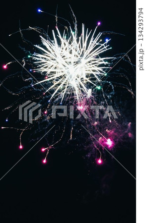 信州・戸倉上山田温泉 夏の花火大会(新作花火) 信州・戸倉上山田温泉 夏の花火大会(新作花火) 134293794