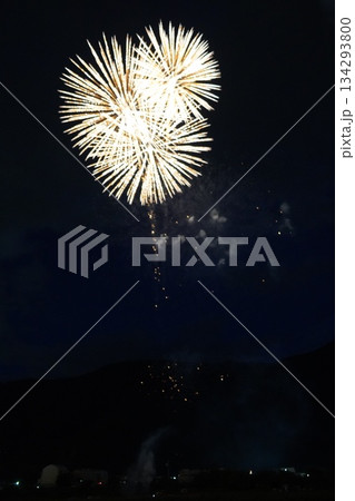 信州・戸倉上山田温泉 夏の花火大会（新作花火） 134293800
