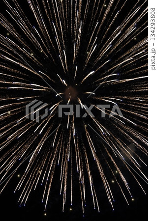 信州・戸倉上山田温泉 夏の花火大会（新作花火） 134293808