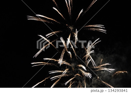 信州・戸倉上山田温泉 夏の花火大会（新作花火） 134293841