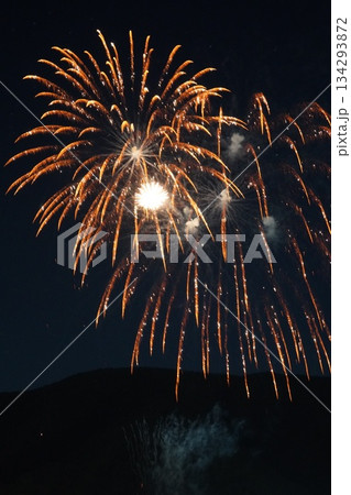 信州・戸倉上山田温泉 夏の花火大会（新作花火） 134293872