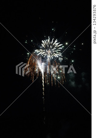 信州・戸倉上山田温泉 夏の花火大会（新作花火） 134293876