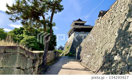 五月晴れの青空に映える伊予松山城城郭(太鼓櫓・天守閣)〈愛媛県松山市〉 134293927