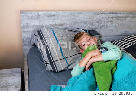 Young boy sleeping in his bed at home, hugging a soft toy, calm and cozy morning routine scene. Young boy sleeping in his bed at home, hugging a soft toy, calm and cozy morning routine scene. 134293936