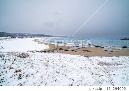 「青森県」雪景色の大須賀海岸 種差海岸 「青森県」雪景色の大須賀海岸 種差海岸 134294096