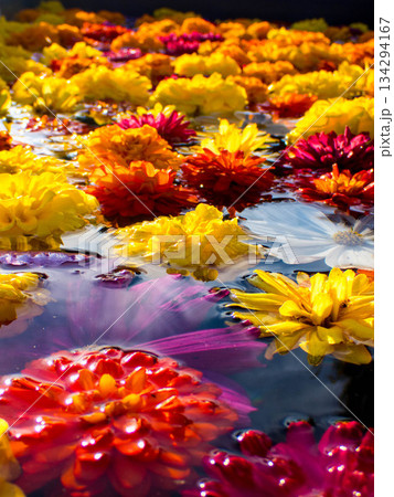 花夢の里 (32) 花夢の里 (32) 134294167