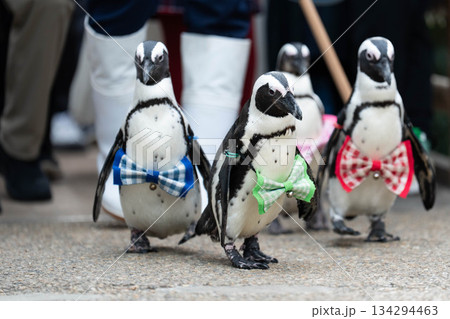 松江フォーゲルパーク (04) 134294463