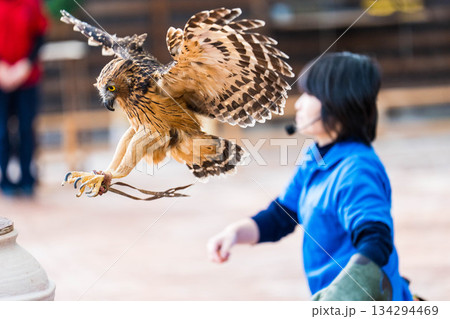 松江フォーゲルパーク (10) 134294469