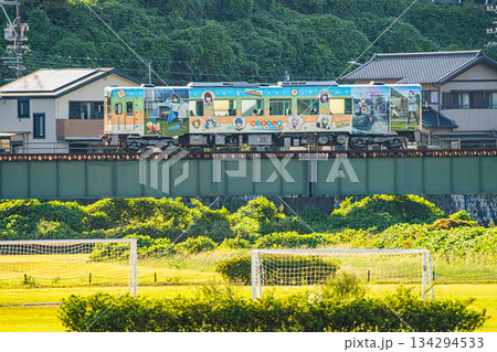 浜松市の天竜浜名湖鉄道の線路(静岡県) 浜松市の天竜浜名湖鉄道の線路(静岡県) 134294533