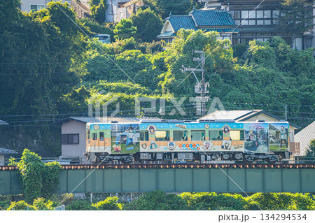 浜松市の天竜浜名湖鉄道の線路(静岡県) 134294534