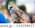 松江フォーゲルパーク (35) 134294637