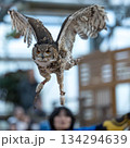 松江フォーゲルパーク (36) 134294639