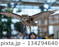 松江フォーゲルパーク (37) 134294640