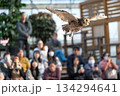 松江フォーゲルパーク (38) 134294641
