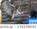 松江フォーゲルパーク (39) 134294642