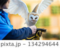 松江フォーゲルパーク (41) 134294644