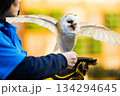 松江フォーゲルパーク (42) 134294645