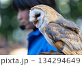 松江フォーゲルパーク (32) 134294649