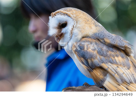 松江フォーゲルパーク (32) 134294649