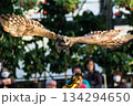 松江フォーゲルパーク (33) 134294650