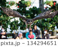 松江フォーゲルパーク (34) 134294651