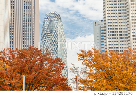 「東京都」秋の西新宿の風景　新宿区 134295170