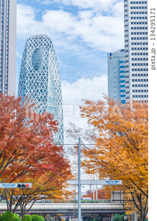 「東京都」秋の西新宿の風景 新宿区 「東京都」秋の西新宿の風景 新宿区 134295171