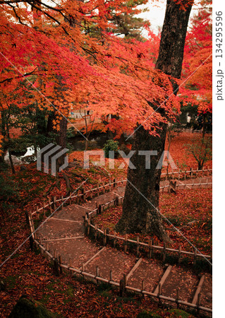 日本の秋の魔法に包まれた庭園の小道 日本の秋の魔法に包まれた庭園の小道 134295596