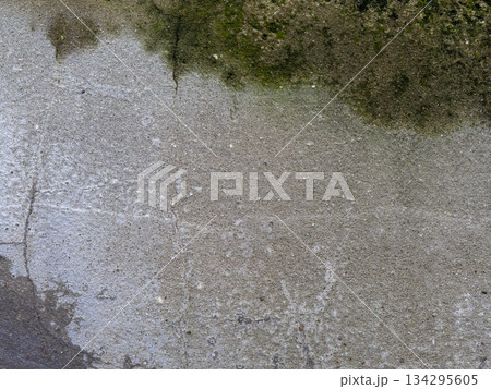 苔が生えたモルタルの外壁 134295605