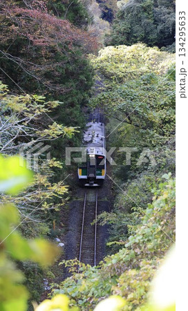 JR久留里線の列車が走行する鉄道風景、上総松丘駅と上総亀山駅間 JR久留里線の列車が走行する鉄道風景、上総松丘駅と上総亀山駅間 134295633