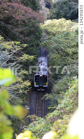 JR久留里線の列車が走行する鉄道風景、上総松丘駅と上総亀山駅間 134295655