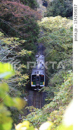 JR久留里線の列車が走行する鉄道風景、上総松丘駅と上総亀山駅間 JR久留里線の列車が走行する鉄道風景、上総松丘駅と上総亀山駅間 134295657