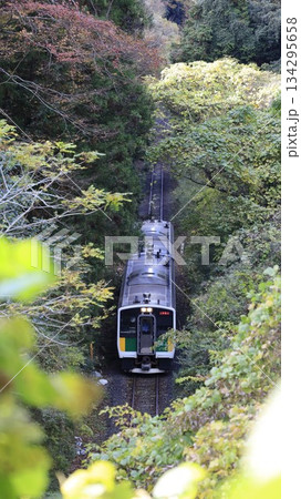 JR久留里線の列車が走行する鉄道風景、上総松丘駅と上総亀山駅間 134295658