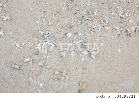 砂浜に打ち上げられた貝殻とサンゴ 砂浜に打ち上げられた貝殻とサンゴ 134295821
