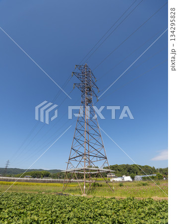 田畑に立てられた送電鉄塔 134295828