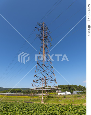 田畑に立てられた送電鉄塔 134295829