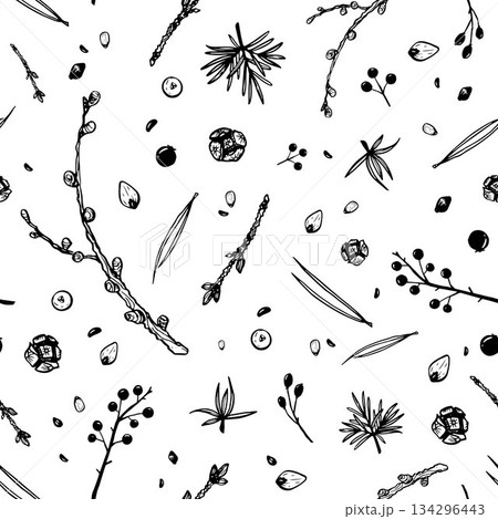 Pine branches vector seamless pattern 134296443