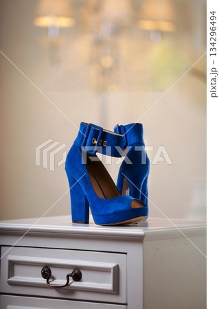 Elegant high heels woman shoes rest on an aesthetic background, good for creating a striking fashion still life perfect for beauty, footwear, or fashion retail campaigns 134296494