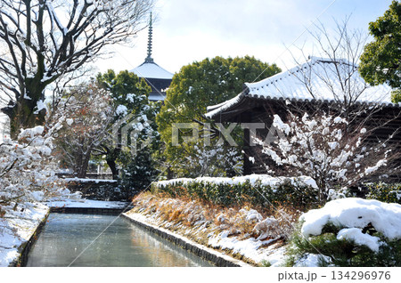 雪の積もった東寺　五重塔 134296976
