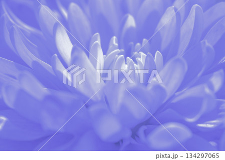 Harmonious pastel abstract: a soothing background of blended light floral colors and soft edges Harmonious pastel abstract: a soothing background of blended light floral colors and soft edges 134297065