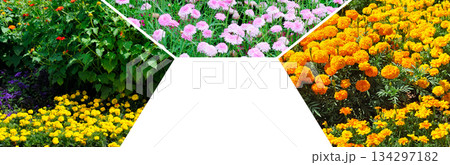 Colorful Summer Flowers Collage with Copy Space Below 134297182